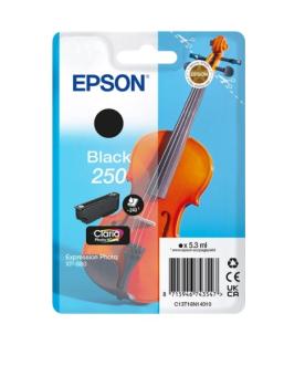 Epson 250 C13T16N14010 Druckerpatrone Schwarz ca. 240 Seiten 5,3ml 