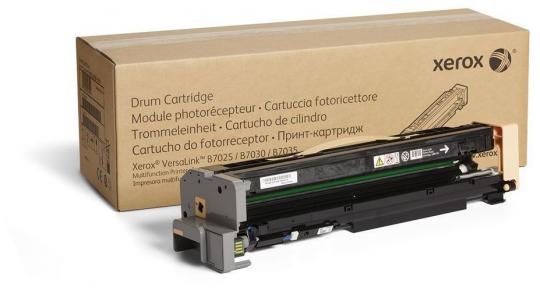 Original Xerox 113R00779 Bildtrommel Schwarz ca. 80.000 Seiten 