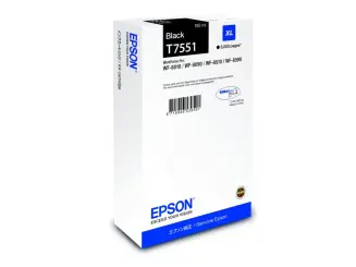 Epson T7551 XL C13T75514N Druckerpatrone Schwarz ca. 5.000 Seiten, 100 ml 
